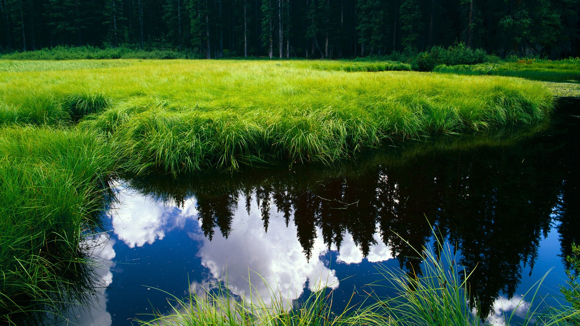 华体会下载-从沉默到轰鸣,西亚卡姆的史诗之夜与猛龙队隐藏的进化密码 第1张 华体会下载-从沉默到轰鸣,西亚卡姆的史诗之夜与猛龙队隐藏的进化密码 第1张